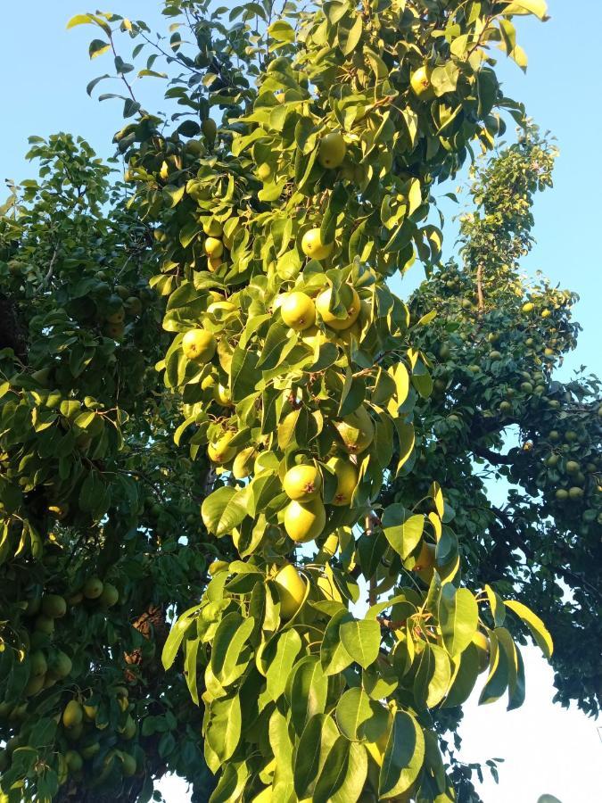 La Mata Finca Denunez别墅 外观 照片